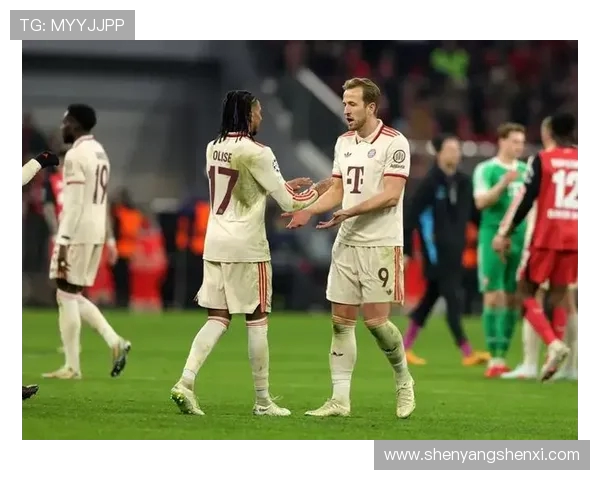 踢德甲的球队:历史与成就 踢德甲的球队:历史与成就