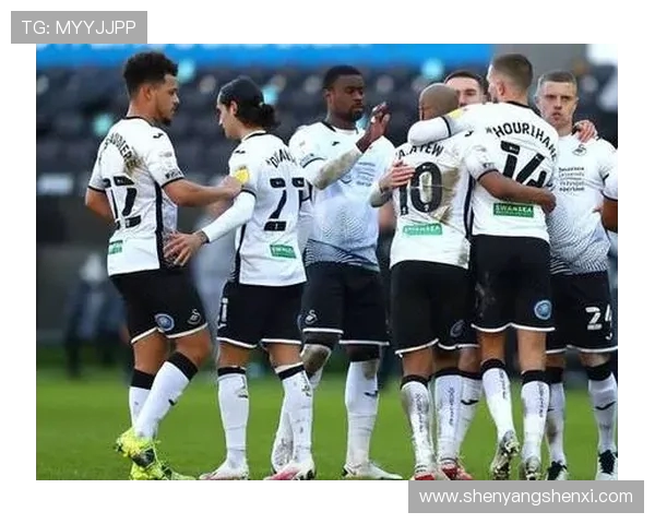 英超斯旺西球队主场名称与历史沿革资料