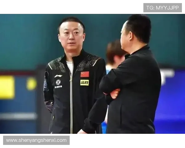 马琳对德甲球队的评价及职业生涯分析