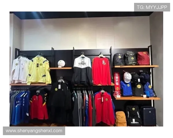 德甲球队围巾标志:解读德甲各大球队围巾设计与球迷文化 德甲球队围巾标志:解读德甲各大球队围巾设计与球迷文化