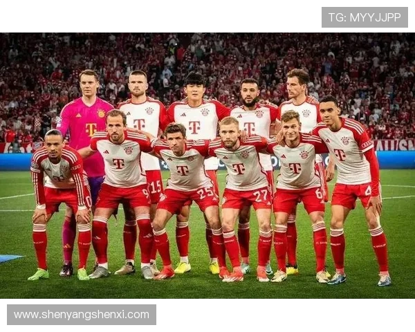 德甲球队的阵容结构与战术配合 德甲球队的阵容结构与战术配合