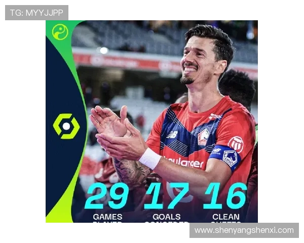 法甲外援赛季表现总结及对球队战绩的贡献分析