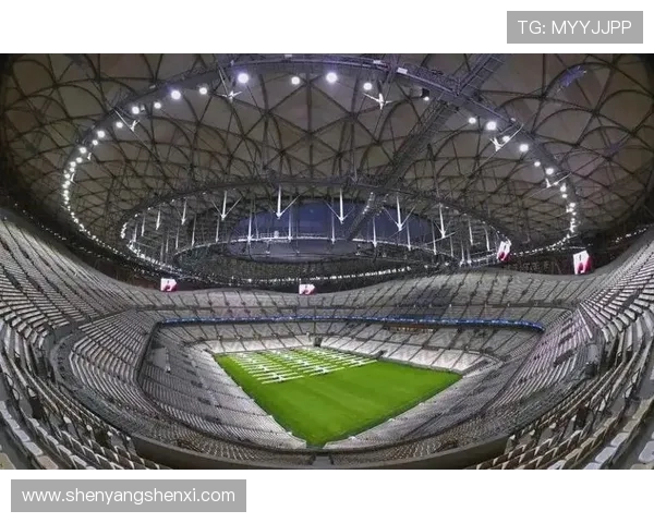 22世界杯在哪里举办及其背后的故事解析与卡塔尔足球盛宴全景揭秘