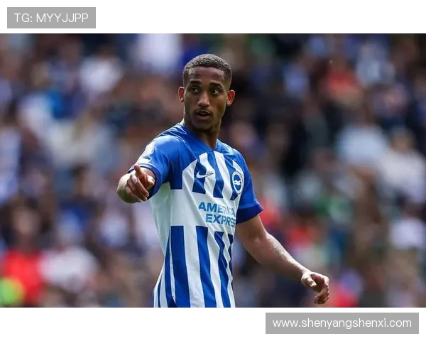 英超球队阿拉维斯介绍及误解纠正